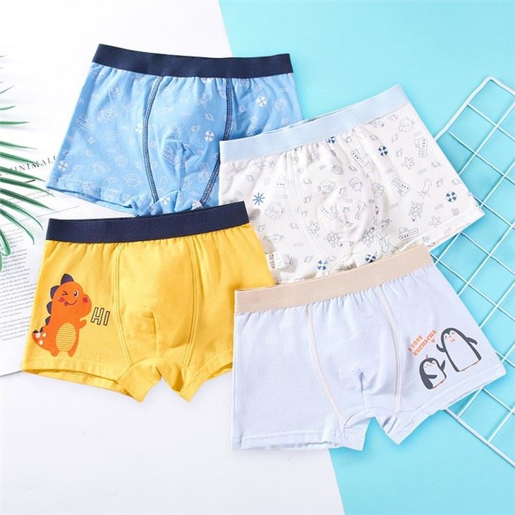 Boy Boxer Briefs